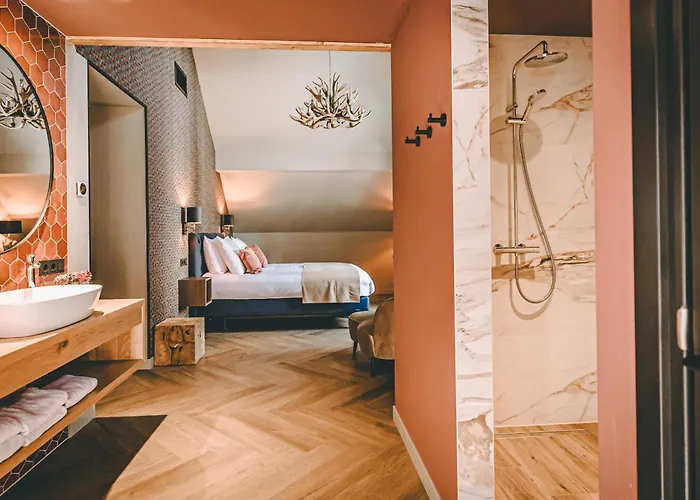 فندق Hotel Centraal Baarlo 3*