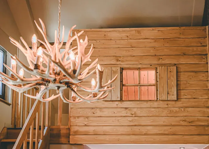 فندق Hotel Centraal Baarlo 3*